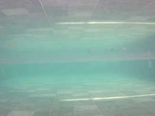 voyeurcam-casa-salsa-pool-1