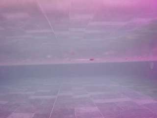 voyeurcam-casa-salsa-pool-1