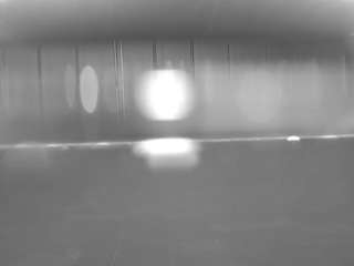 voyeurcam-casa-salsa-pool-1