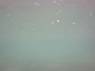 voyeurcam-casa-salsa-pool-1