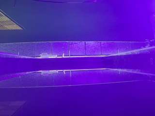 voyeurcam-casa-salsa-pool-1