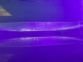 voyeurcam-casa-salsa-pool-1