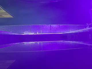 voyeurcam-casa-salsa-pool-1