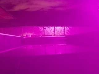 voyeurcam-casa-salsa-pool-1