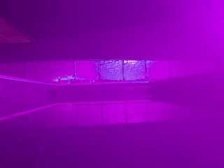 voyeurcam casa salsa pool 1