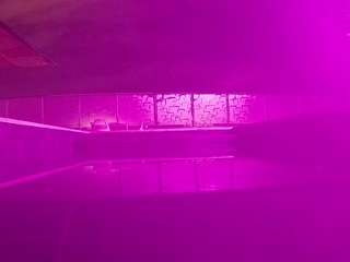 voyeurcam-casa-salsa-pool-1