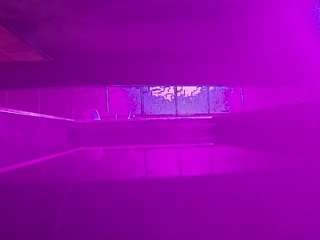 voyeurcam-casa-salsa-pool-1