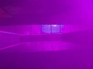 voyeurcam-casa-salsa-pool-1