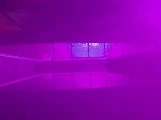 voyeurcam-casa-salsa-pool-1