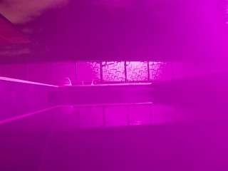voyeurcam-casa-salsa-pool-1