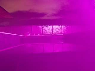 voyeurcam-casa-salsa-pool-1
