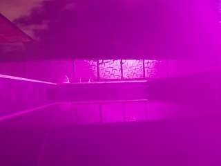 voyeurcam-casa-salsa-pool-1
