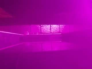 voyeurcam-casa-salsa-pool-1