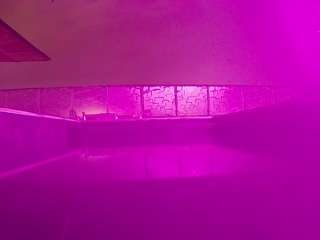 voyeurcam-casa-salsa-pool-1