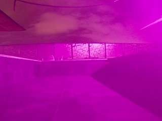 voyeurcam-casa-salsa-pool-1 - Live HD Webcam