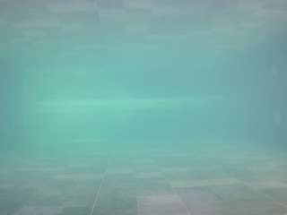 voyeurcam-casa-salsa-pool-1