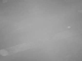 voyeurcam casa salsa pool 1