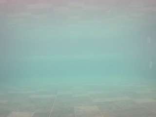 voyeurcam-casa-salsa-pool-1