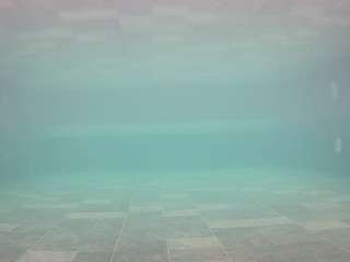 voyeurcam-casa-salsa-pool-1