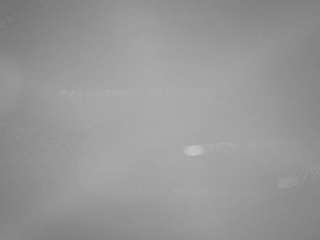 voyeurcam-casa-salsa-pool-1