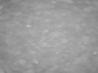 voyeurcam-casa-salsa-pool-1