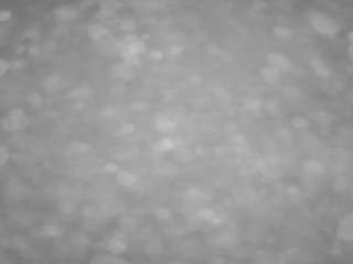 voyeurcam-casa-salsa-pool-1