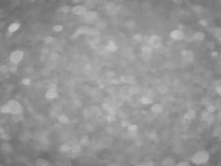 voyeurcam-casa-salsa-pool-1