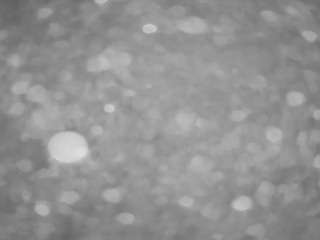 voyeurcam-casa-salsa-pool-1