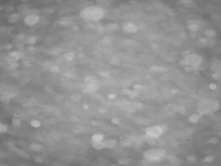 voyeurcam-casa-salsa-pool-1