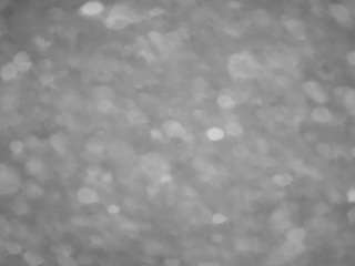 voyeurcam-casa-salsa-pool-1