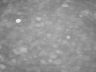 voyeurcam-casa-salsa-pool-1