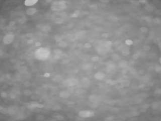 voyeurcam-casa-salsa-pool-1