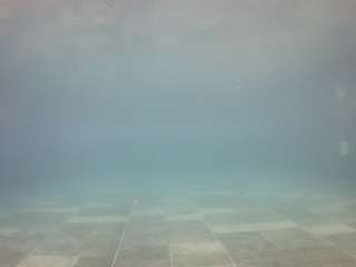 voyeurcam-casa-salsa-pool-1