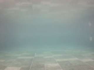 voyeurcam-casa-salsa-pool-1