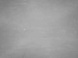 voyeurcam casa salsa pool 1