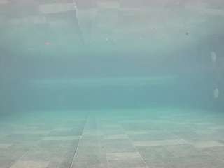 voyeurcam-casa-salsa-pool-1