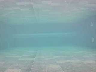 voyeurcam-casa-salsa-pool-1