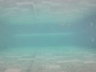 voyeurcam-casa-salsa-pool-1