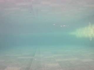 voyeurcam-casa-salsa-pool-1 Mixed live webcam