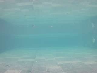 voyeurcam-casa-salsa-pool-1 Hd live webcam