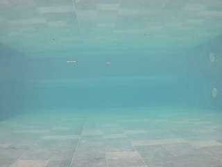 voyeurcam-casa-salsa-pool-1 Erotic live webcam