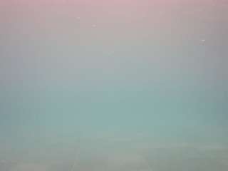 voyeurcam-casa-salsa-pool-1