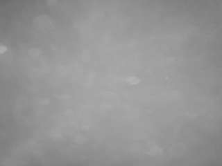 voyeurcam-casa-salsa-pool-1 live cam profile