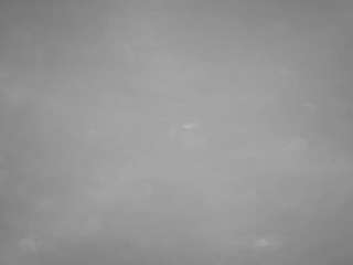 voyeurcam-casa-salsa-pool-1 live cam profile