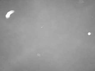 voyeurcam-casa-salsa-pool-1 live cam profile