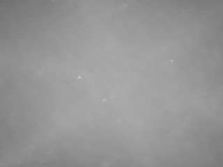 voyeurcam-casa-salsa-pool-1 webcam