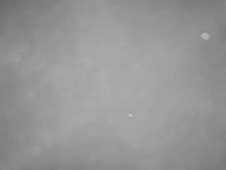 voyeurcam-casa-salsa-pool-1 live cam profile