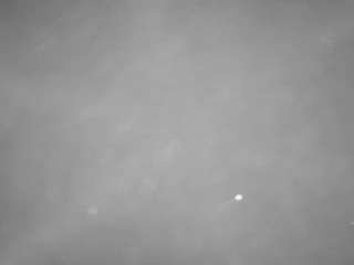 voyeurcam-casa-salsa-pool-1 live cam profile