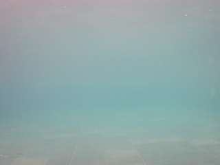 voyeurcam-casa-salsa-pool-1 webcam