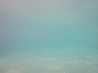 voyeurcam-casa-salsa-pool-1 live cam profile